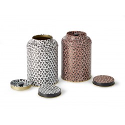Boite Leo 150g