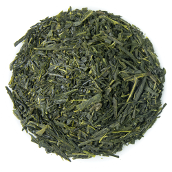 Sencha japonais bio saveur Thé vert nature