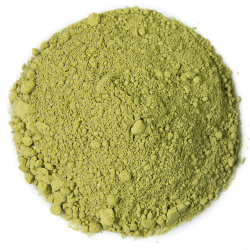 Matcha bio