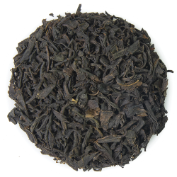 Earl grey noir bio