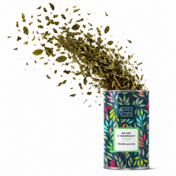 Thé vert bio saveur Menthe poivrée