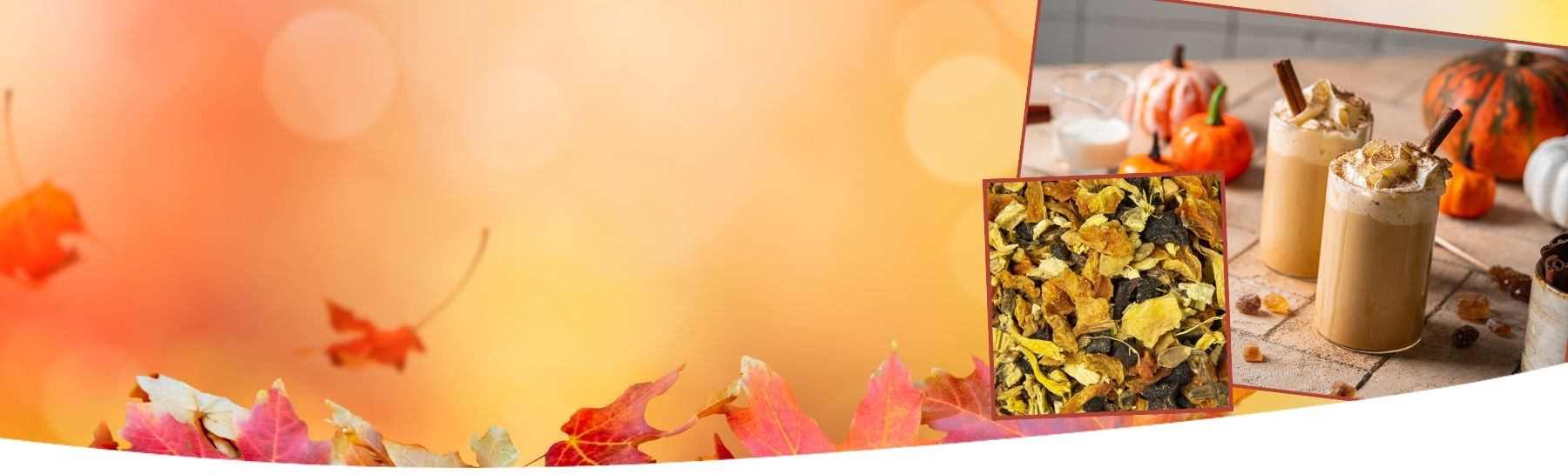 Infuseur à thé